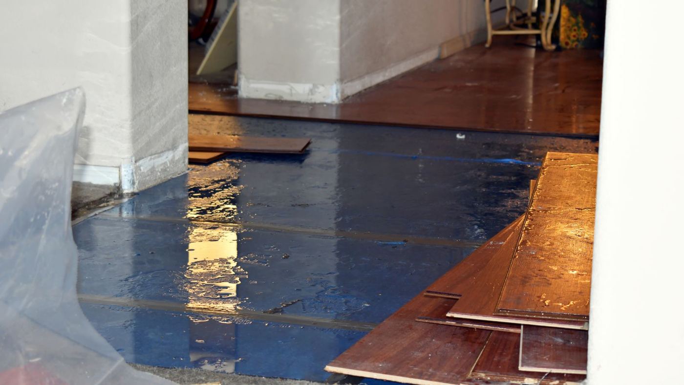 Hardwood floor boards lifted over plastic sheeting after water damage