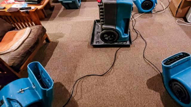 Air movers drying a carpeted room